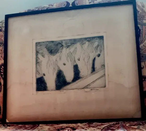 Aras (5/10/1979), quadro em bom estado