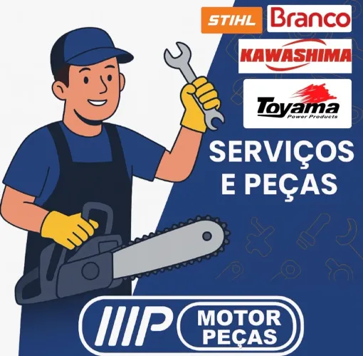 Serviços, manutenção e reparos em motores diesel e gasolina, motoserras e roçadeiras