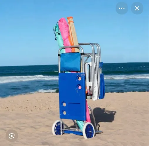 Carrinho praia novo
