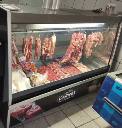 Freezer Açougue Expositor Gelopar
