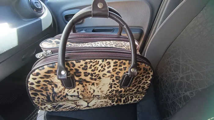 Valize de Viagem Luxo de mao Desapegando Loucura total!