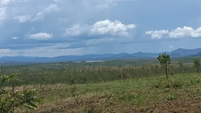 FAZENDA À VENDA - 266 ALQUEIRES | NIQUELÂNDIA/GO | LAGO SERRA DA MESA