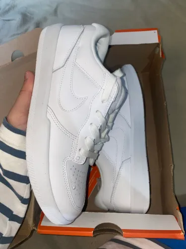 Tênis Nike Sb force 39