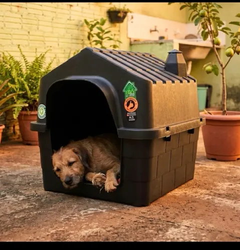 Casinha para cachorro