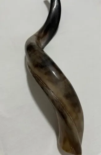Shofar antílope 50 anos peça resgatada 
