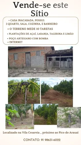 Vila cesareia município de capitão poço a 200 metros do igarape do iacaiaca