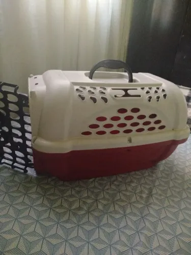 Transporte pra gato 
