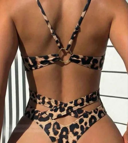 Body 