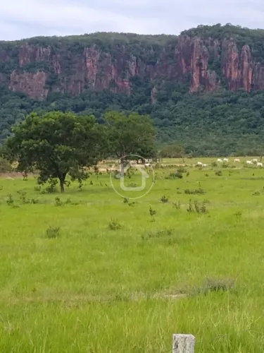 FAZENDA BRILHO DA PEDRA RIO VERDE MS