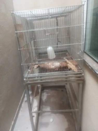 Gaiola grande para passaros