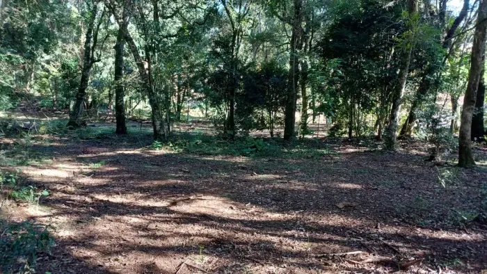 Terreno urbano com 13.384 m² no centrinho de Bateias de Baixo em Campo Alegre - SC