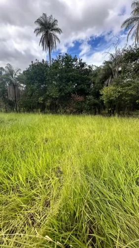 Fazenda a venda no norte de Minas, 44 alqueires