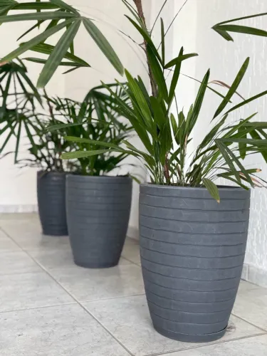 Vaso de planta completo 