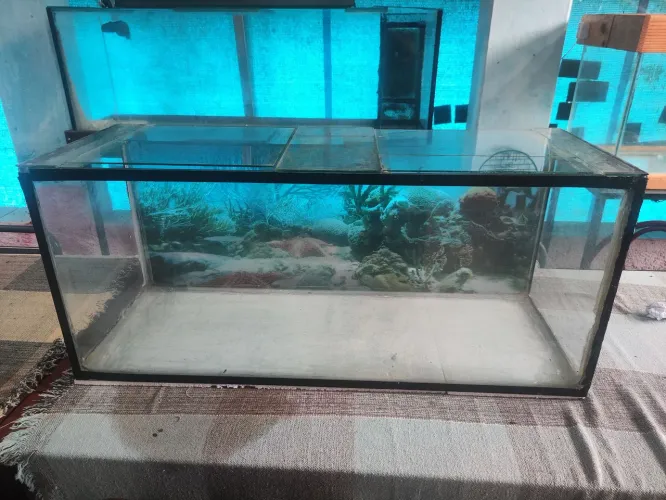 Aquário 133 litros 