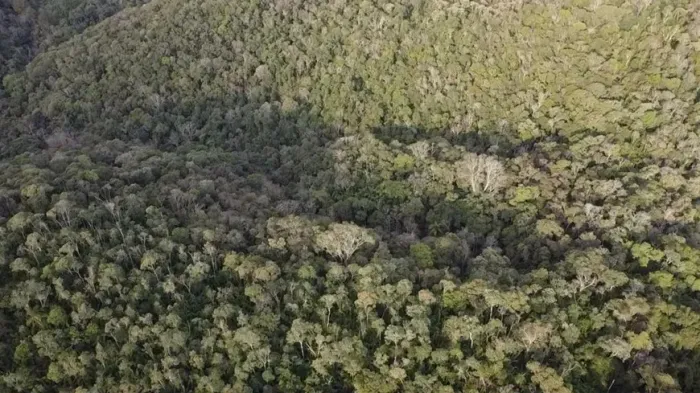 Chácara a venda com 470.000 m² Serra Negra - Guaraqueçaba