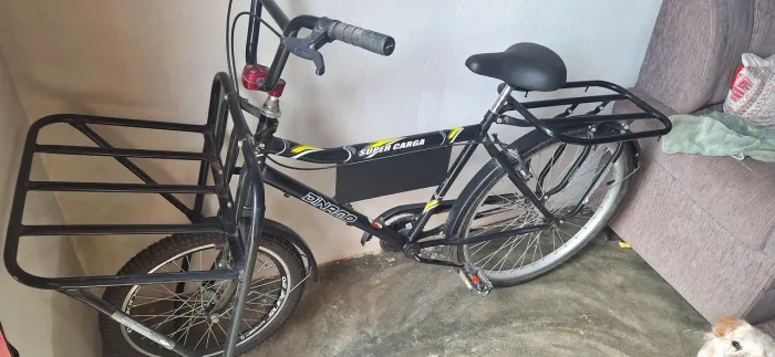 Bicicleta CARGUEIRA 