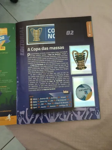 Álbum da copa do nordeste 2014 