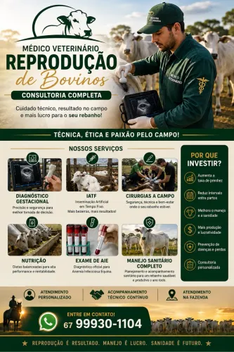 Serviços Veterinários em gerais