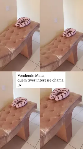 Maca