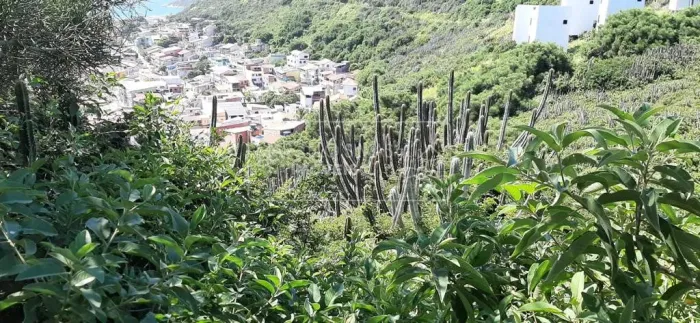 Terreno à venda com vista no Pontal do Atalaia 2.000m² com RGI.