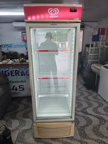 Expositoras / Cervejeira e Freezer da Kibon todo original e sadia de congelamento vertical