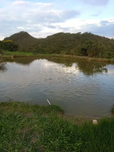 VENDO SÍTIO COM 20 HECTARES NO DF BR 280