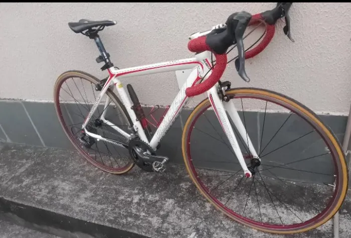 Bike speed vicinitec