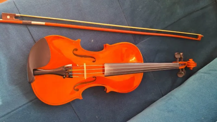Violino