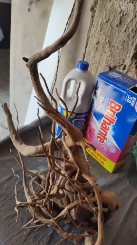 Raiz Natural para aquário