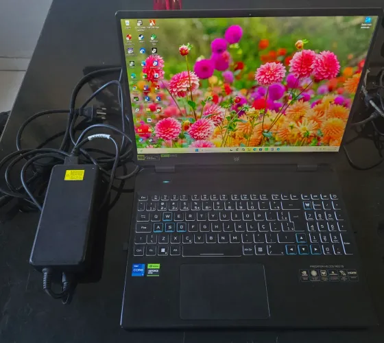 Notebook Gamer Acer Predator Hélios 16 Rtx 4060 8GB -tela 16 ''