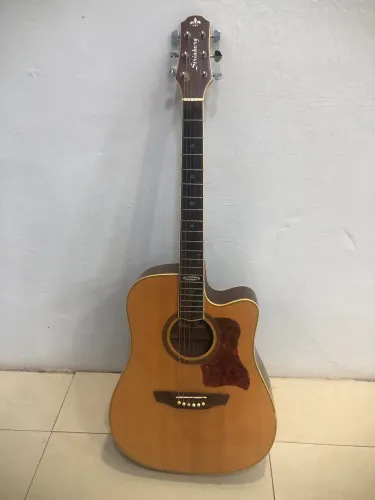 Violão Strinberg