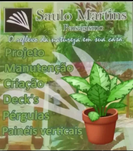 Jardinagem e Paisagismo