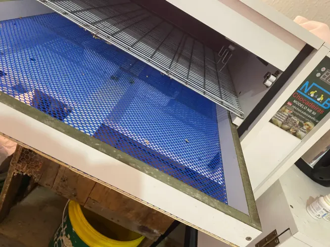 Chocadeira automática para 90 ovos com nascedor