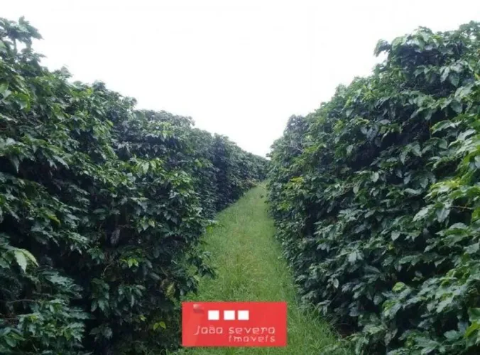 Fazenda para Venda em Itamaraju