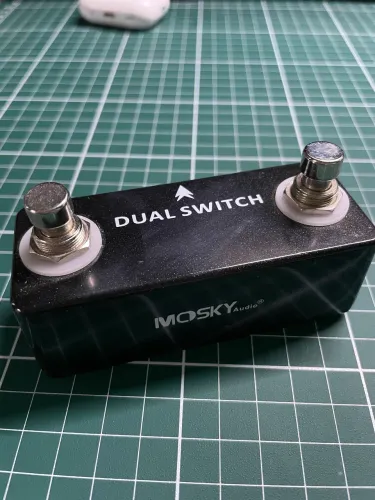 Dual switch