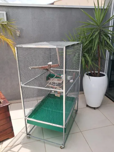 Vendo gaiola grande para calopsita mansas