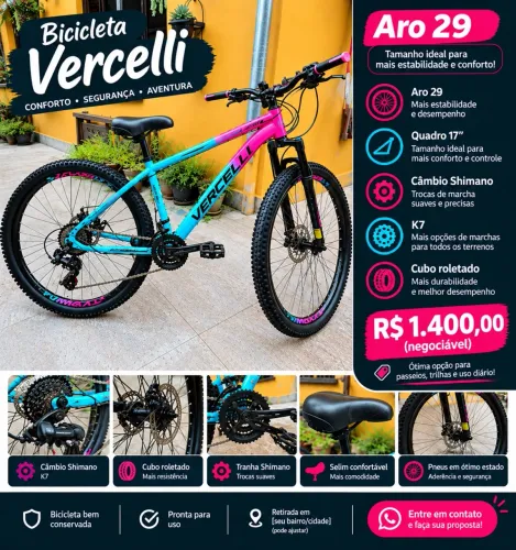 BICICLETA VERCELLI ARO 29