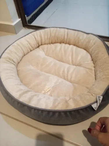 Cama de gato