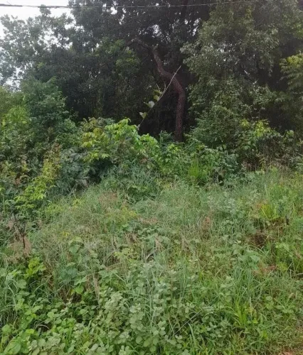 Lote na roça 