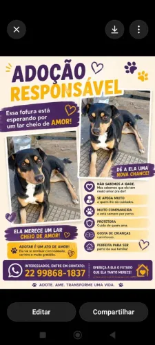 Adote a Pretinha!