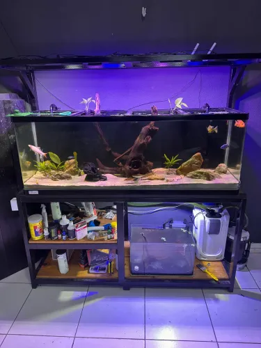 Aquário 340 Litros