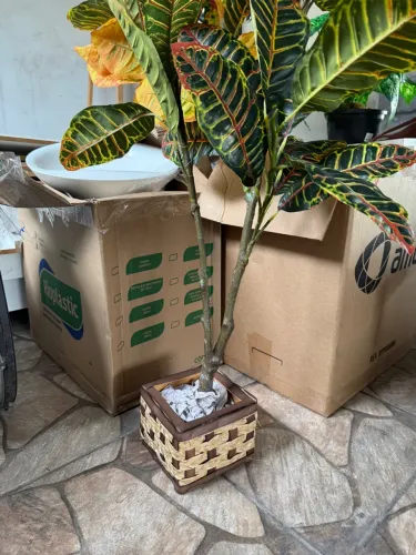 Decoração