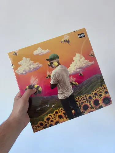 Flower Boy - Tyler, The Creator (Vinil)