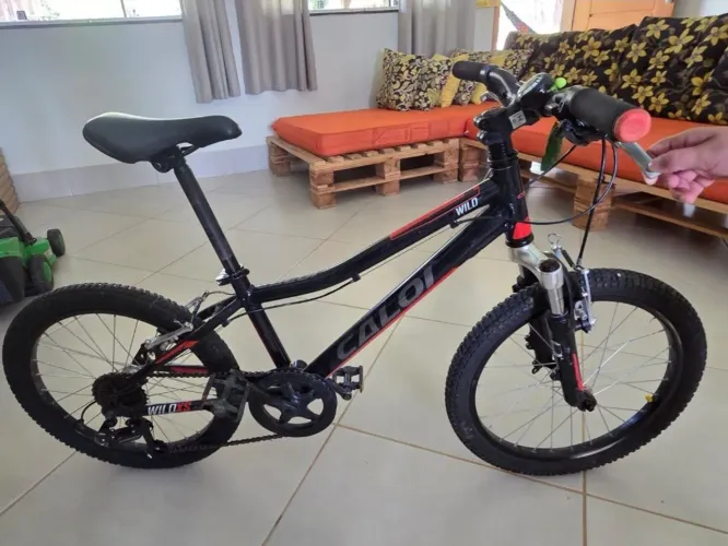 Bicicleta Caloi Aro 20