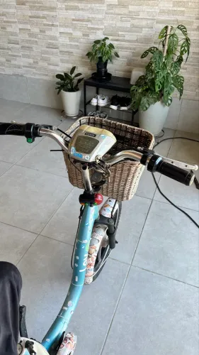 Bike Elétrica Lev