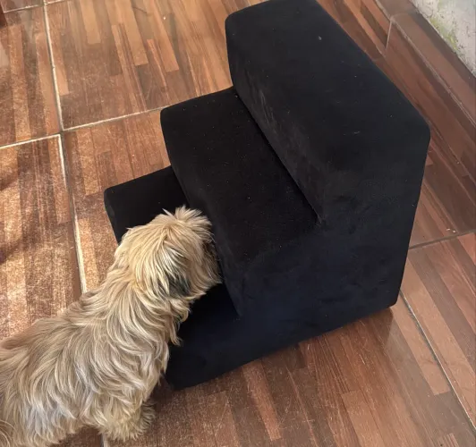 Escada para pet