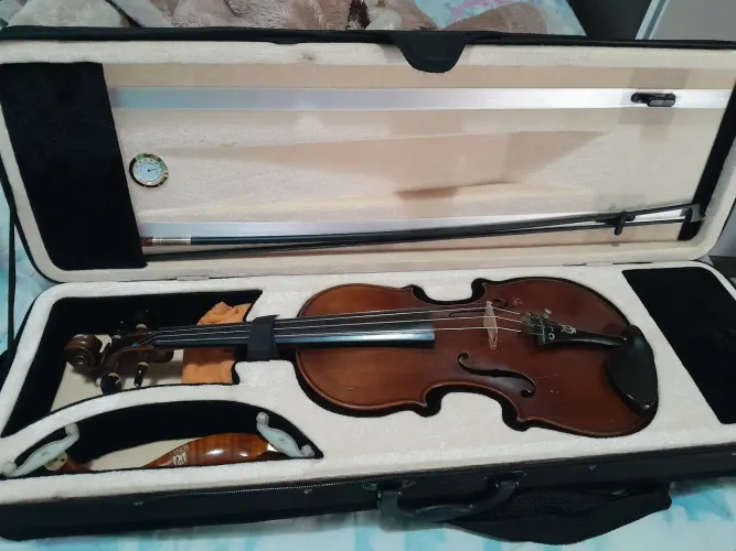 Violino proficional