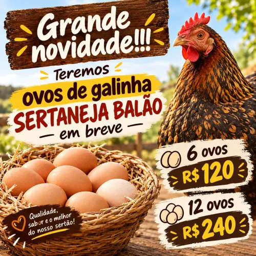 Ovos de GSB