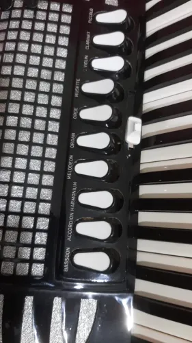 acordeon excelsiola dupla ressonância