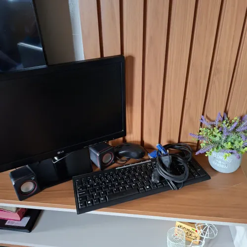 Monitor LG